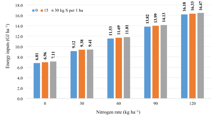 Energy balance in nitrogen and sulfur management strategies for oilseed radish