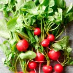 How to Store Radishes